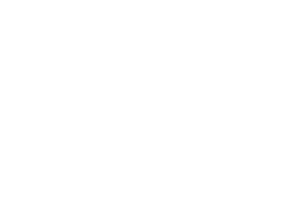 CarNap